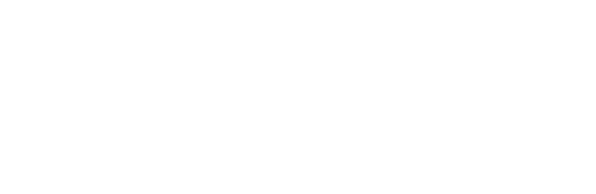 Adobe Technology Partner
